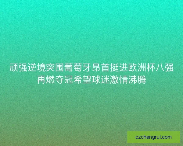 顽强逆境突围葡萄牙昂首挺进欧洲杯八强再燃夺冠希望球迷激情沸腾